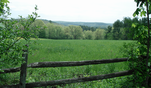 Farmland photo