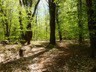 Photo of Underwood Road Conservation Area