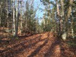 photo of Kirby Conservation Area
