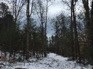 Photo of Rome Conservation Area