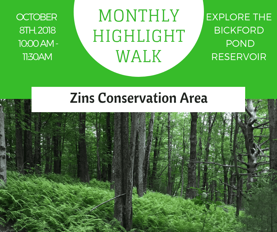 Monthly Highlight Walk: Zins Conservation Area