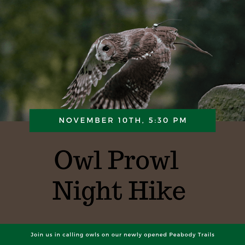 October Owl Prowl & Night Hike