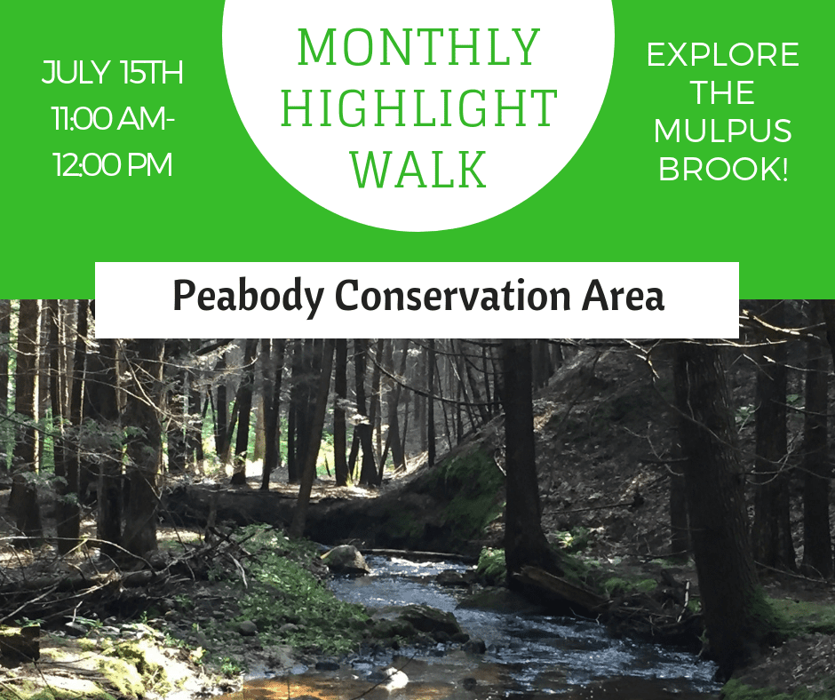 July Monthly Highlight Walk: Peabody Conservation Area
