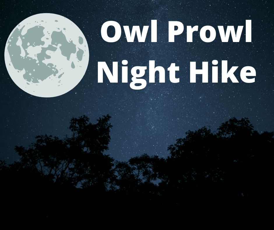 Owl Prowl Night Hike - POSTPONED