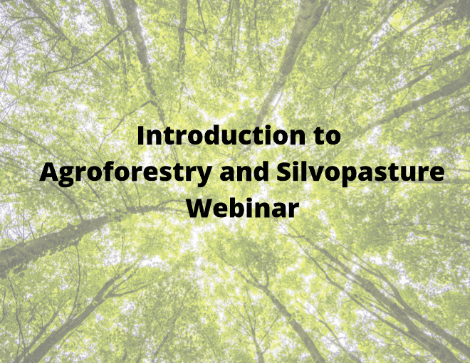 Introduction to Agroforestry and Silvopasture Webinar