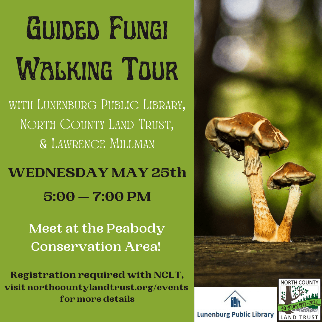 Fungus Walk at Peabody Conservation Area