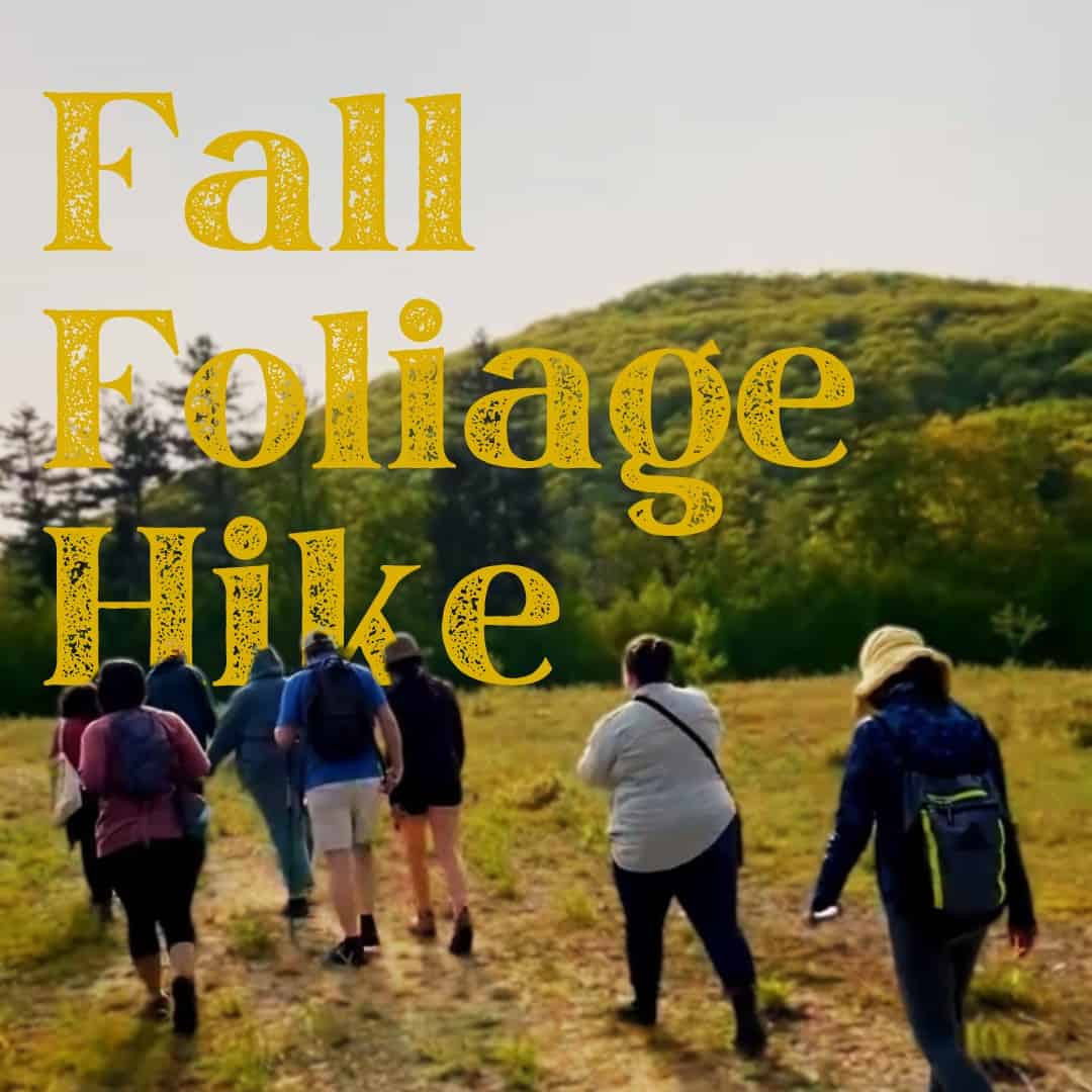 Fall Foliage Hike at Longview Conservation Area