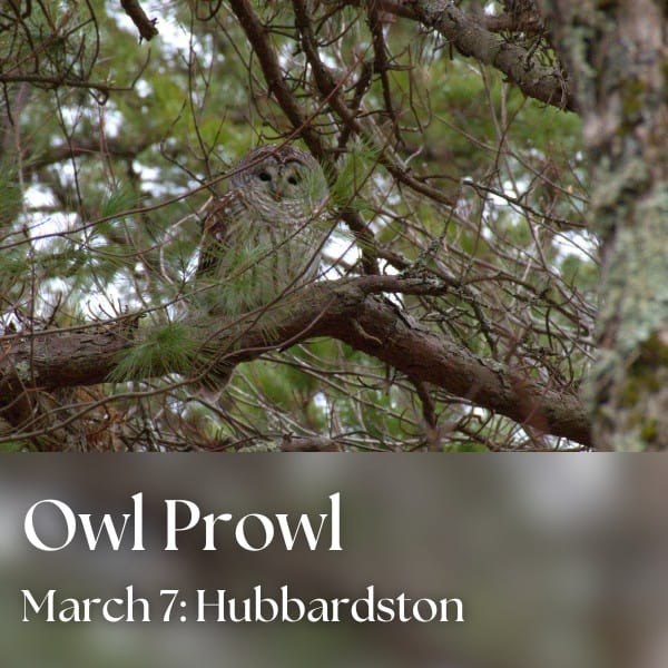 Owl Prowl with Laurie Nehring