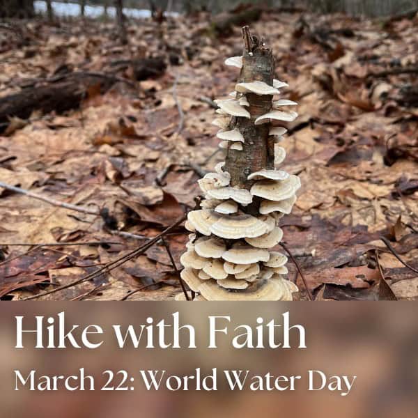Hike with Faith: World Water Day