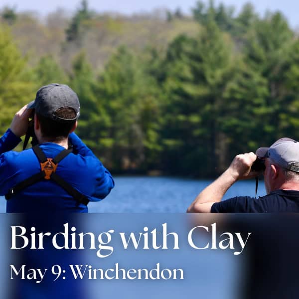Birding Adventures with Clay: Warblers and Ovenbirds