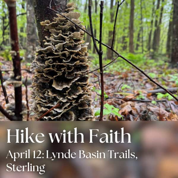 Hike with Faith: Lynde Basin Trails