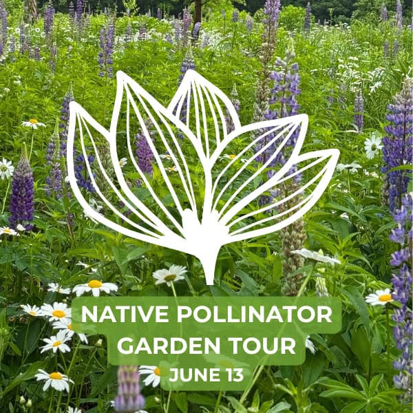 Native Pollinator Garden Tour