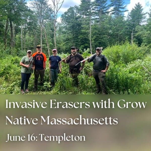 Invasive Erasers with Grow Native Massachusetts