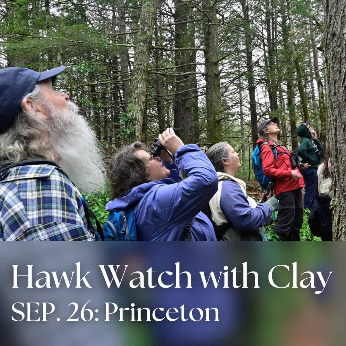 Hawk Watching with Clay!