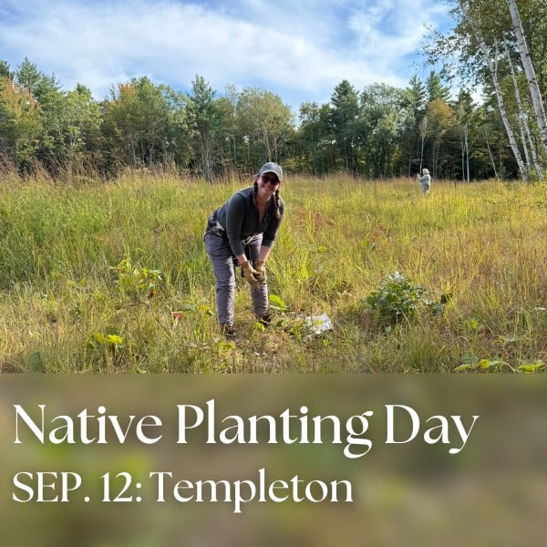 Native Plant Installation with Worcester County Conservation District